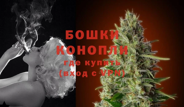 амф Аркадак