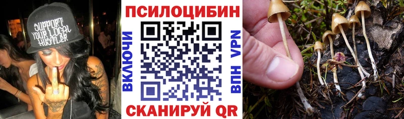 Псилоцибиновые грибы Psilocybine cubensis  Армянск 